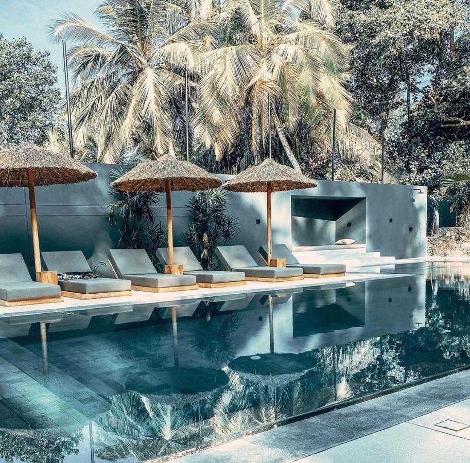The Salty Pelican Yoga & Surf Retreat Dikwella Eksteriør billede